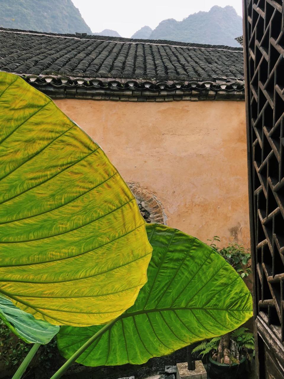Laojia, A Qing Dynasty House Apartment Guilin Bagian luar foto